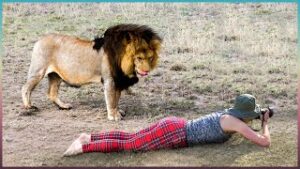 11w4q_884e805271a5f721bc17e2c79bdc412eaf06a8a0_320x180